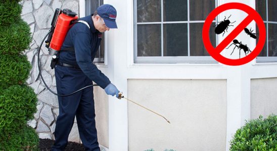 Kaynarca Böcek ve Haşere İlaçlama böcek ilaçlama ve haşere kontrolü — ilaclama-tr.com